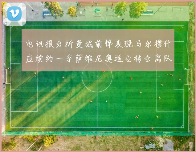 电讯报分析曼城前锋表现马尔穆什应续约一季萨维尼奥适合转会离队